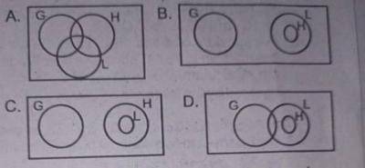 Question diagram